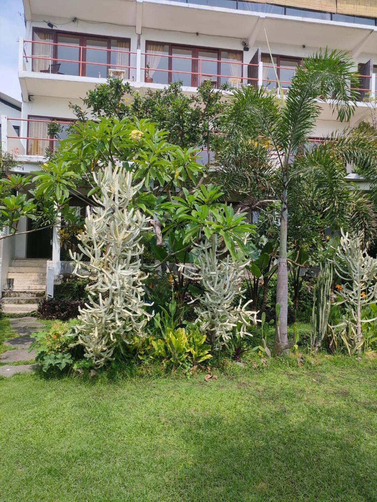 Villa Lotus 8 Canggu Exterior foto
