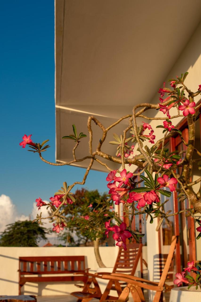 Villa Lotus 8 Canggu Exterior foto